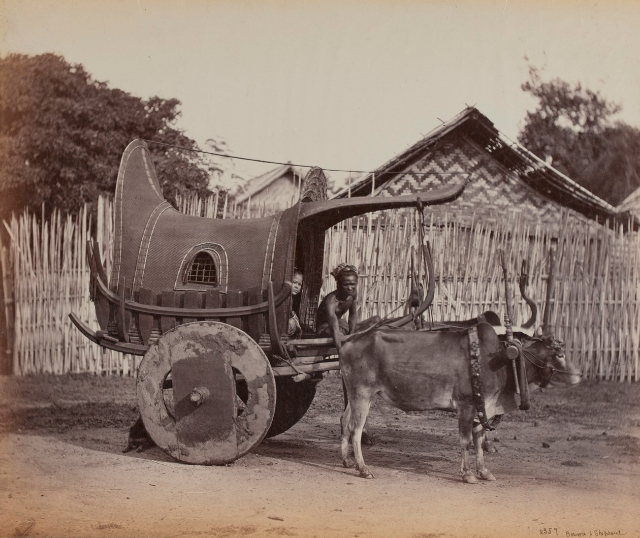 عربة البلد ، بورما (1886-1888) بواسطة مصور بريطاني