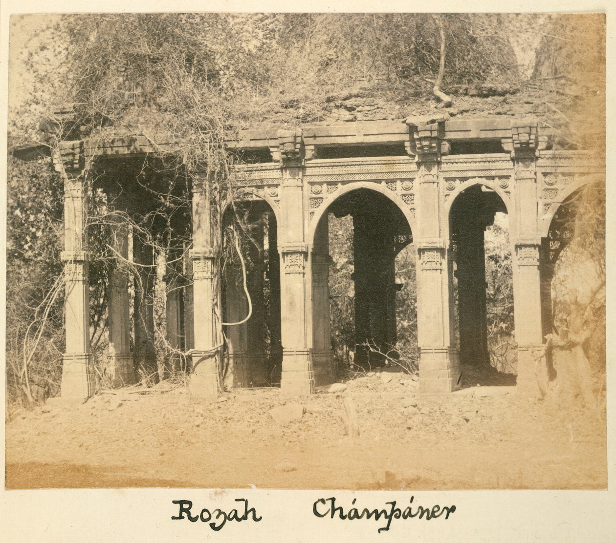 روزاه ، شامبانير ، حوالي عام 1875 (صورة بالأبيض والأسود) بواسطة مصور بريطاني