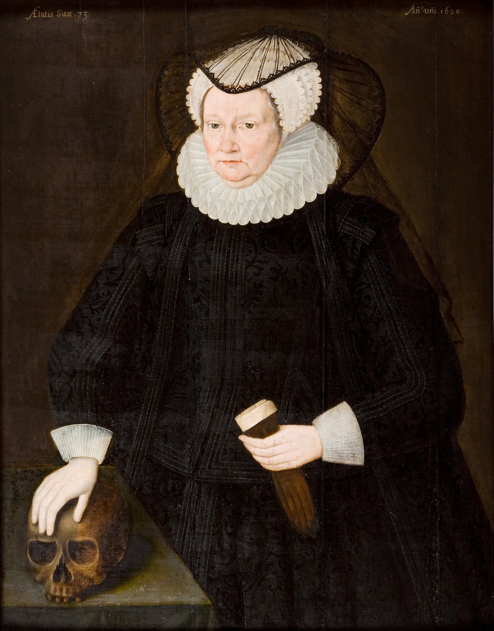  بواسطة المدرسة البريطانية