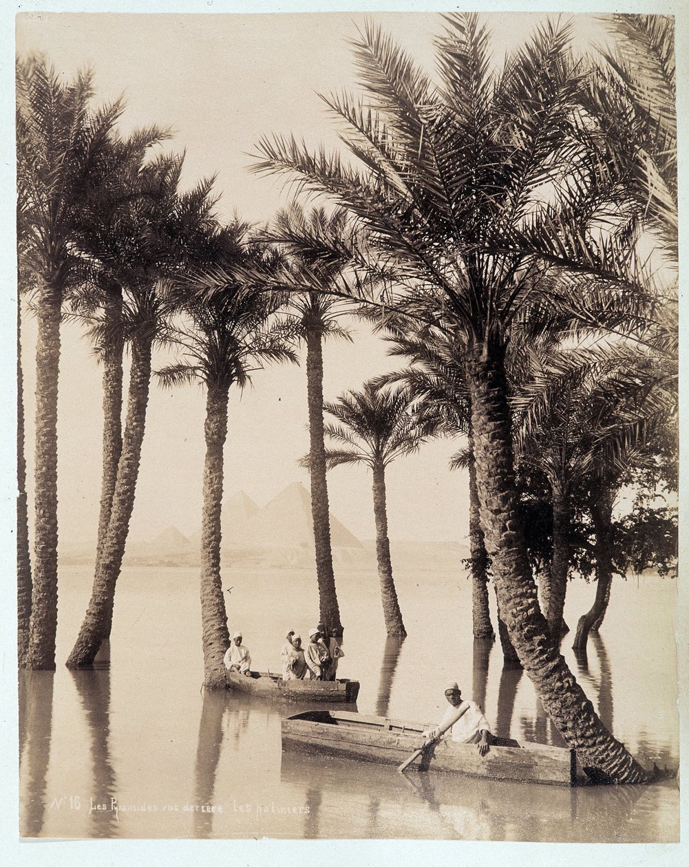 بستان نخيل عند سفح أهرامات مصر - تصوير الأخوين الزنغالي ، أواخر القرن التاسع عشر بواسطة الاخوة زنقاكي