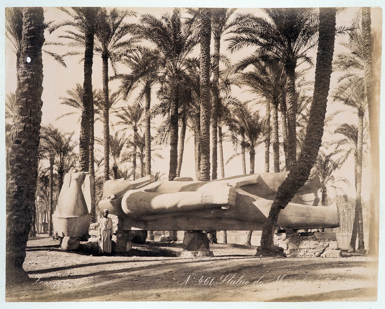 تمثال لممفيس في بستان نخيل في مصر - تصوير الأخوين زنغالي ، أواخر القرن التاسع عشر بواسطة الاخوة زنقاكي