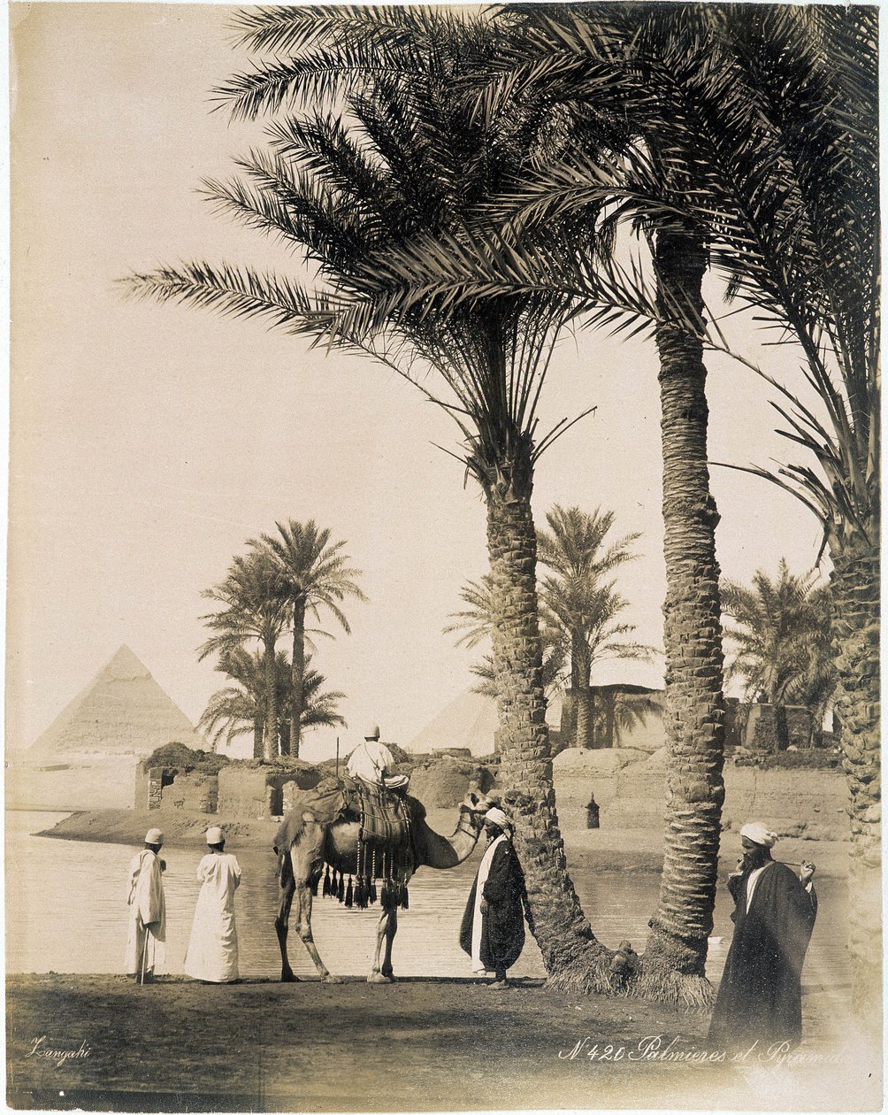 بستان نخيل عند سفح أهرامات مصر - صورة الأخوين الزنغالي ، أواخر القرن التاسع عشر بواسطة الاخوة زنقاكي