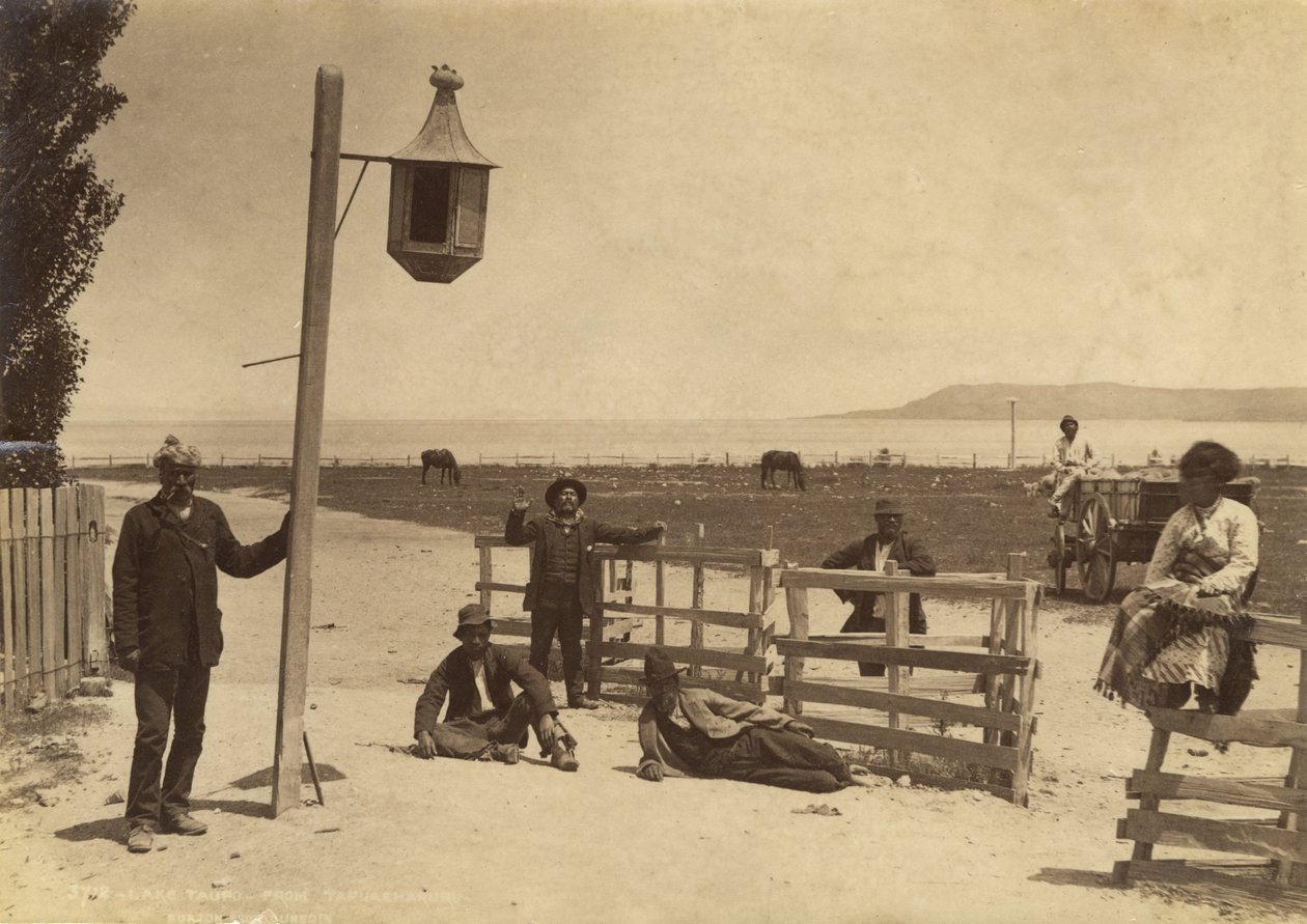 بحيرة تاوبو - من Tapuaharuru ، c.1886 (طبعة زلال) بواسطة استوديو بورتون براذرز