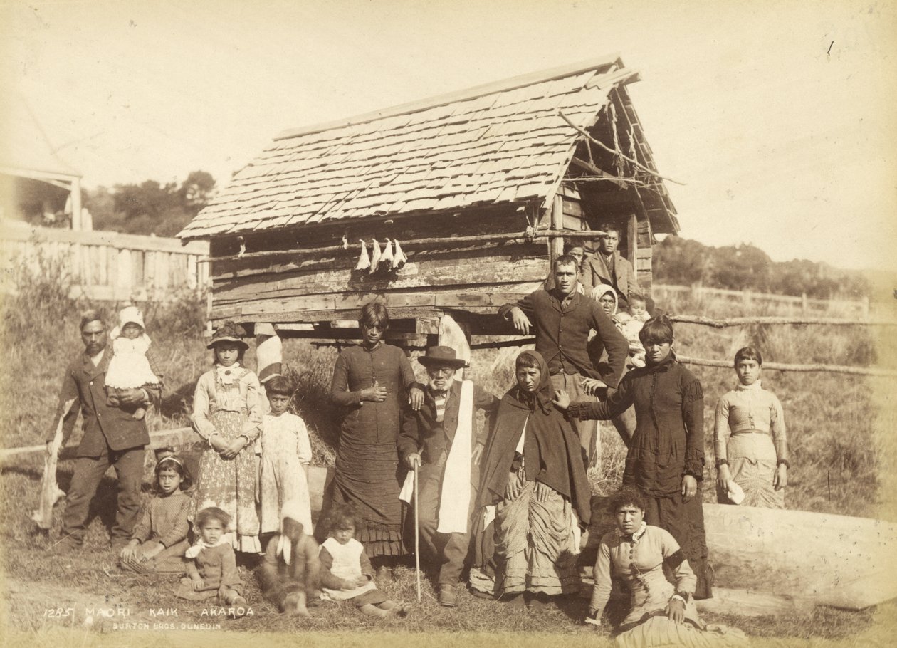 Maori Kaik - Akoroa ، c.1884 (مطبوعة زخرفية) بواسطة استوديو بورتون براذرز