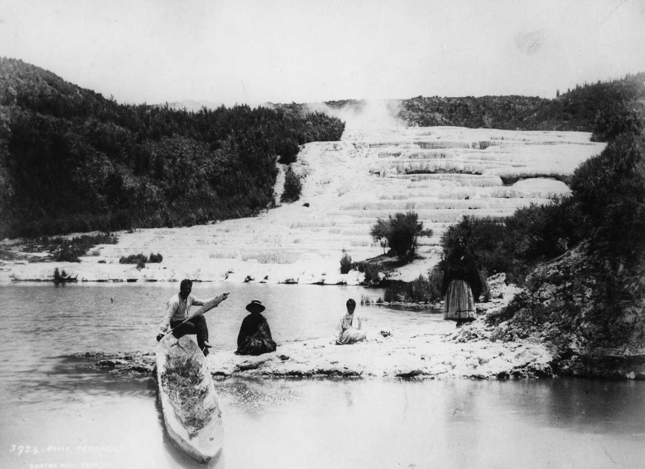 المدرجات الوردية ، ج 1880 بواسطة استوديو بورتون براذرز