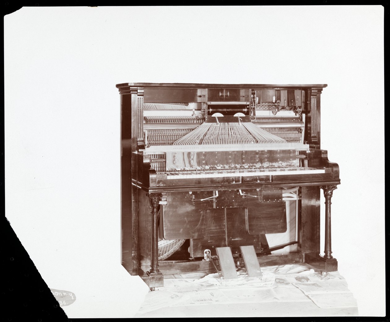 عازف بيانو من شركة Ricca und Son Piano Co. ، 1907 (طباعة الجيلاتين الفضي) بواسطة شركة بايرون