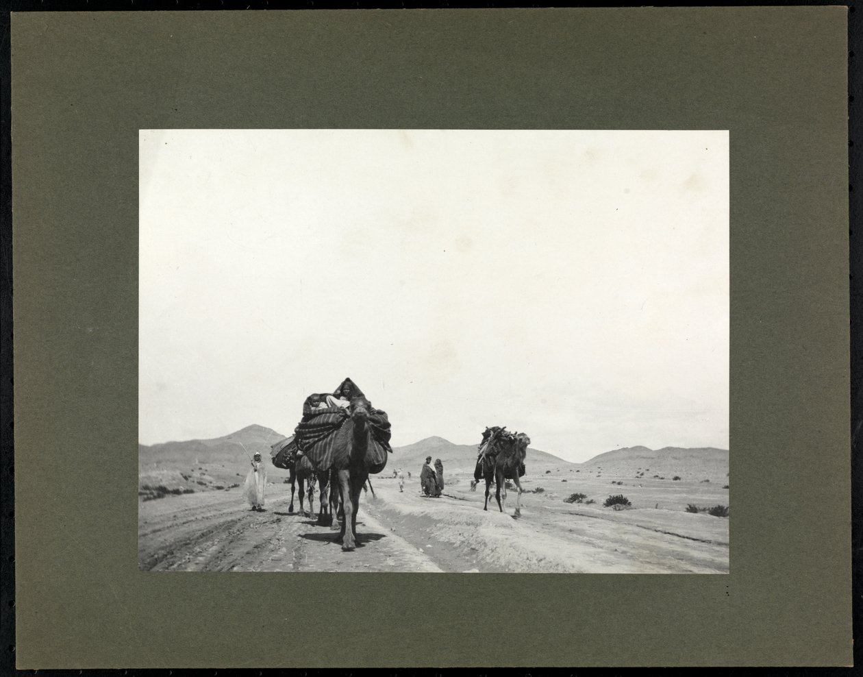الإبل على طريق ترابي ، يفترض أنه في شمال إفريقيا ، 1899 (طبعة جيلاتين فضية) بواسطة شركة بايرون