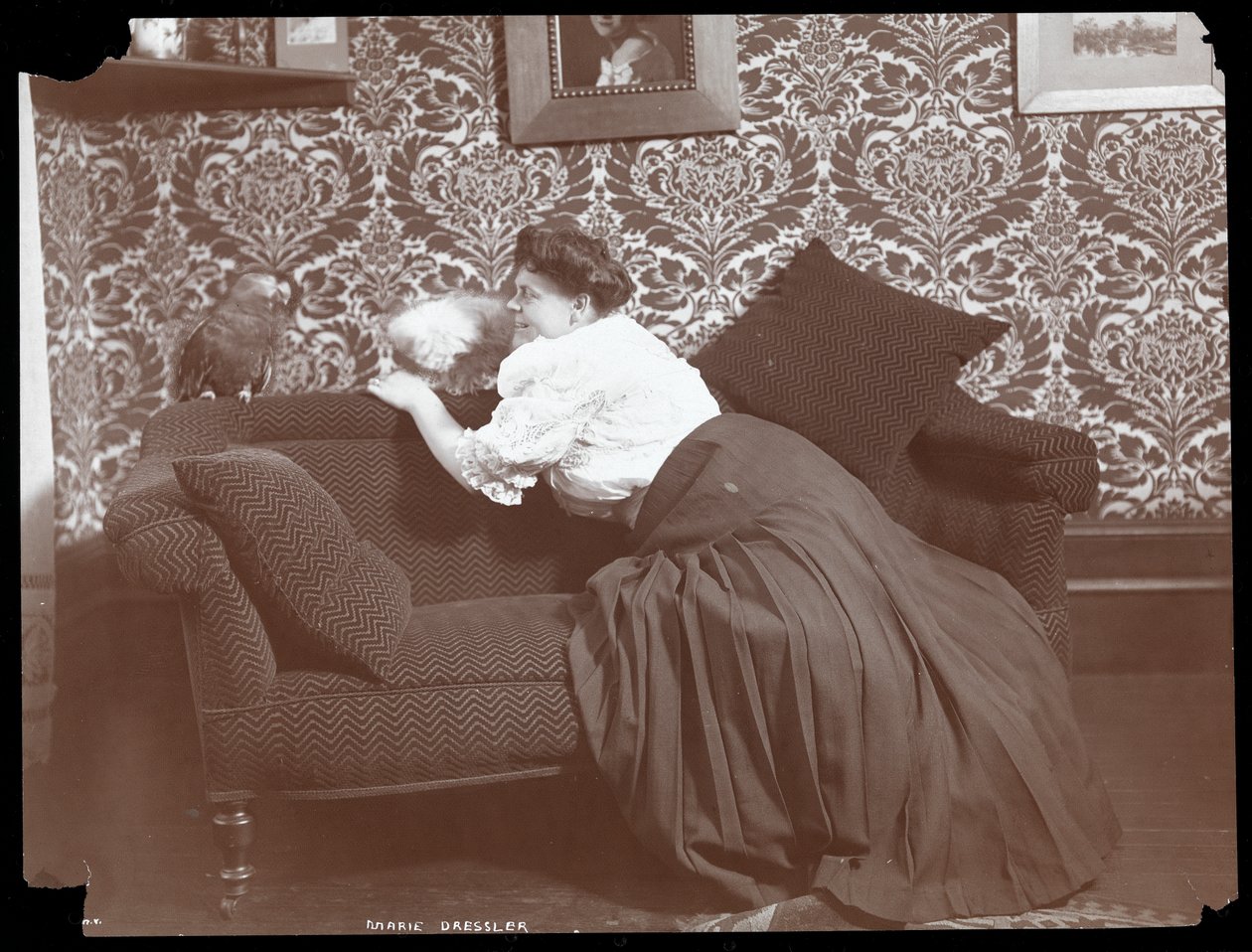 ماري دريسلر في المنزل مع كلب وببغاء ، 1905 (طباعة الجيلاتين الفضي) بواسطة شركة بايرون