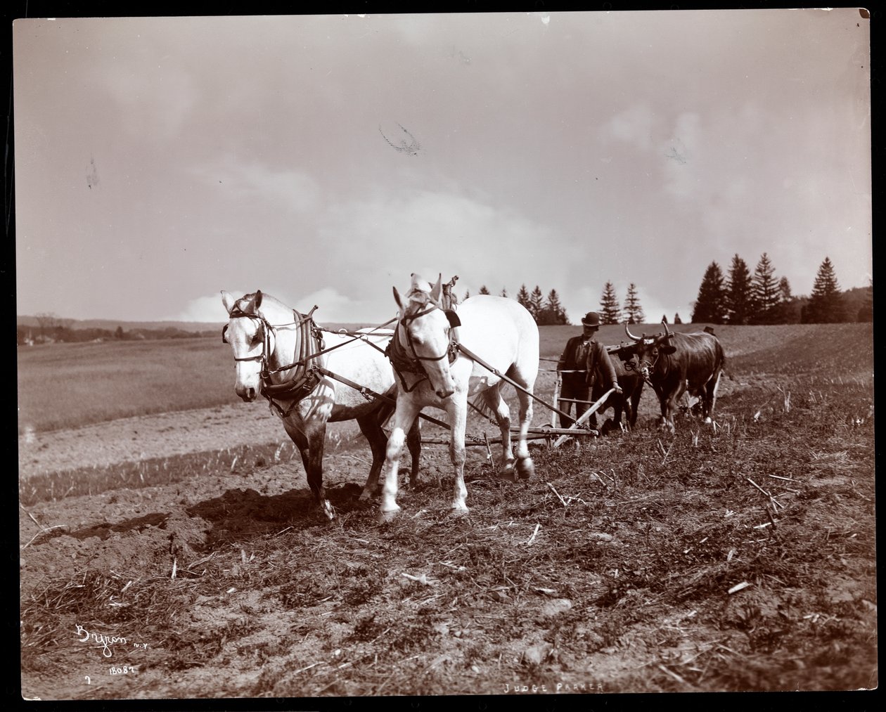 الحرث على ممتلكات ألتون بروكس باركر ، Esopus Creek ، نيويورك ، 1904 (طباعة الجيلاتين الفضي) بواسطة شركة بايرون