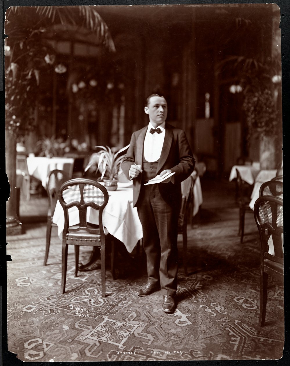 النادل الرئيسي في مطعم شيري ، نيويورك ، 1902 (طباعة الجيلاتين الفضي) بواسطة شركة بايرون