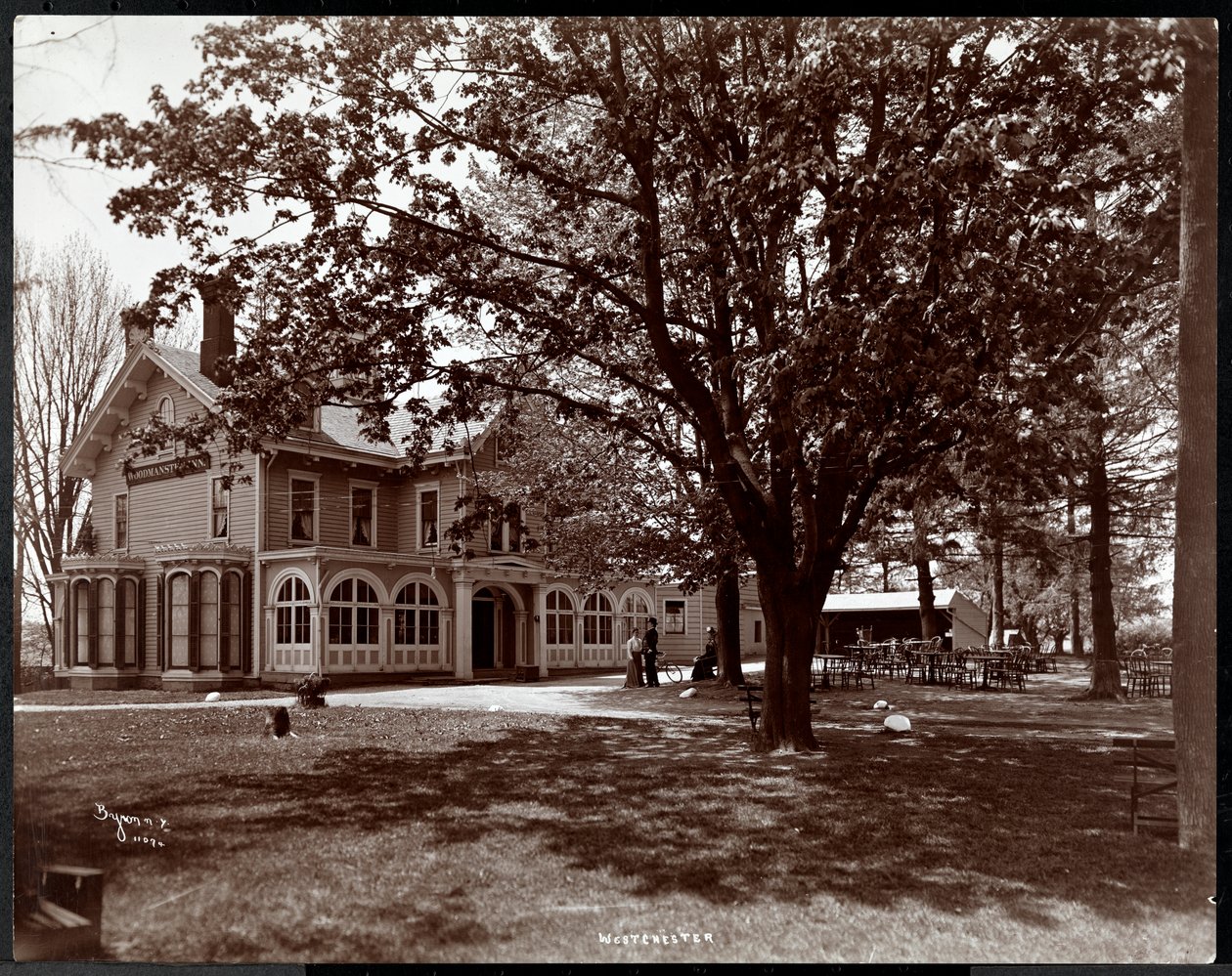 منظر من خلال أشجار Woodmansten Inn ، Westchester ، New York ، 1901 (طباعة الجيلاتين الفضي) بواسطة شركة بايرون