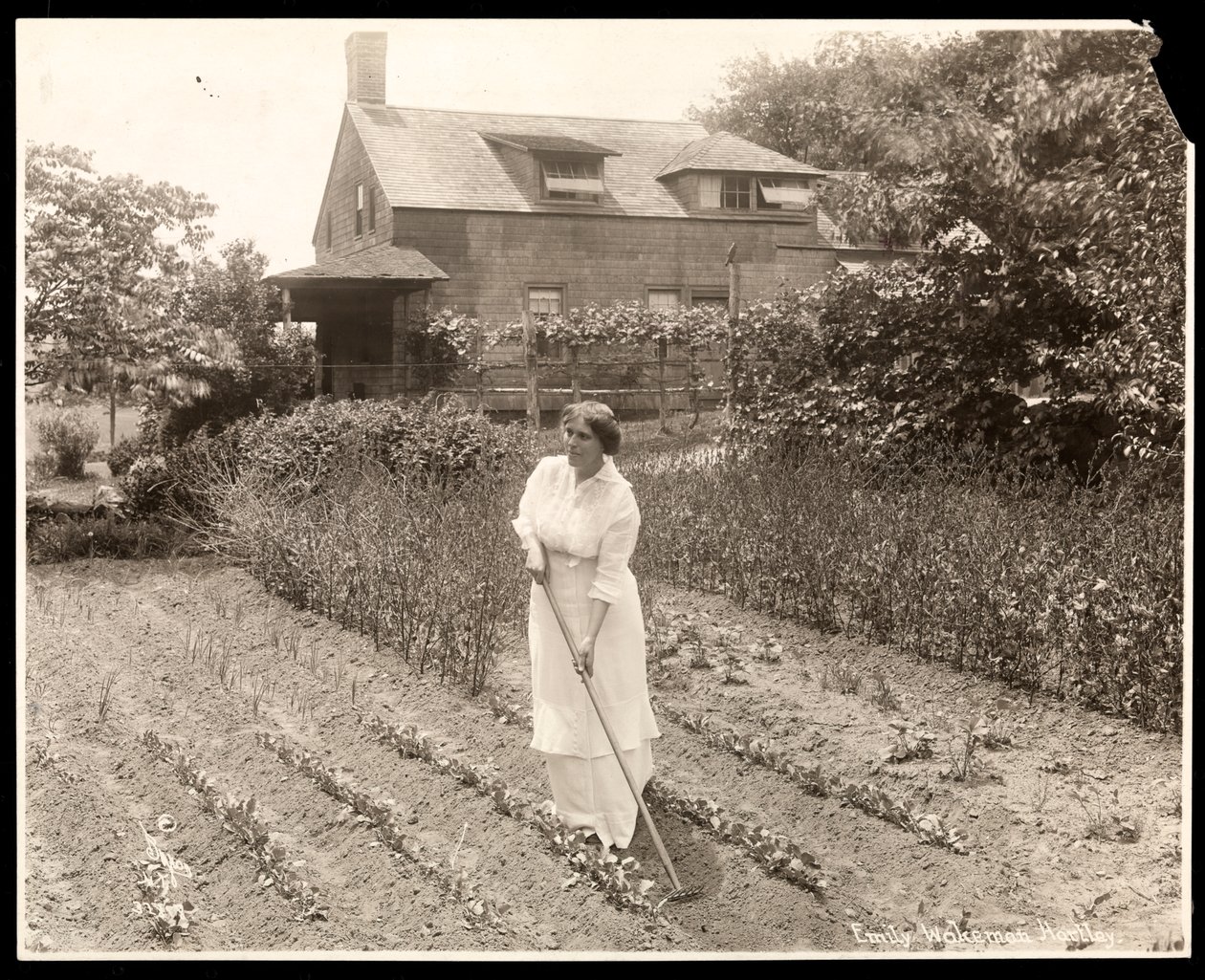 Emily Wakeman Hartley، c.1913 (طباعة الجيلاتين الفضي) بواسطة شركة بايرون