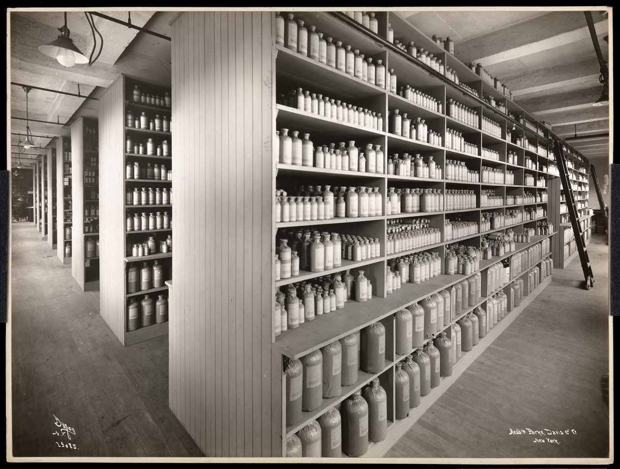 منظر داخلي لغرفة تخزين كيميائية في Parke ، Davis und Co. ، الكيميائيون ، Hudson und Vestry Streets ، نيويورك ، 1910 (طباعة الجيلاتين الفضي) بواسطة شركة بايرون