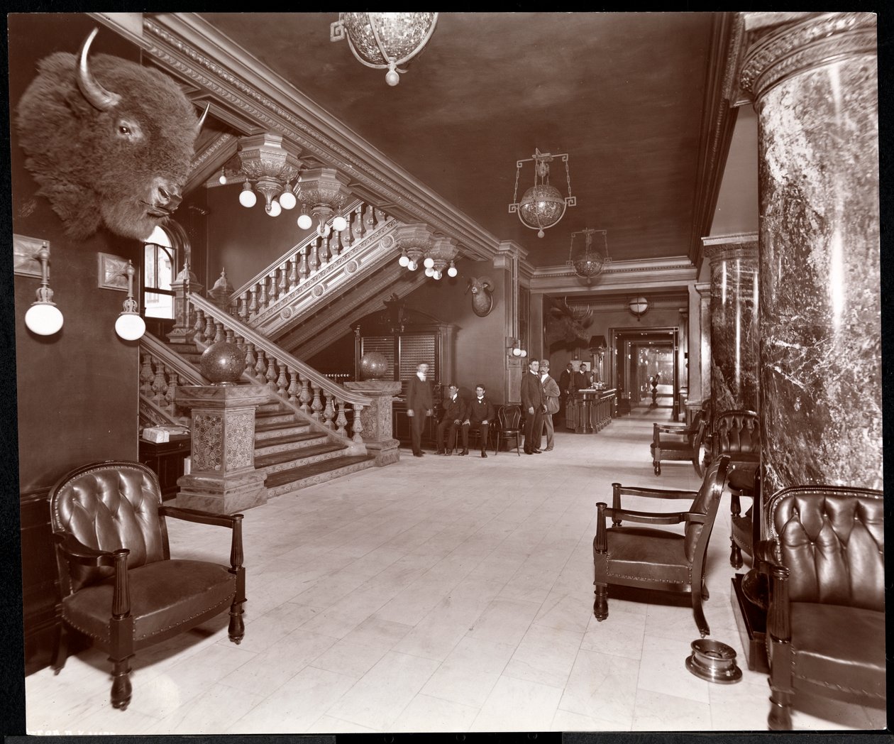 درج ولوبي في فندق Park Avenue ، 1901 أو 1902 (طباعة الجيلاتين الفضي) بواسطة شركة بايرون