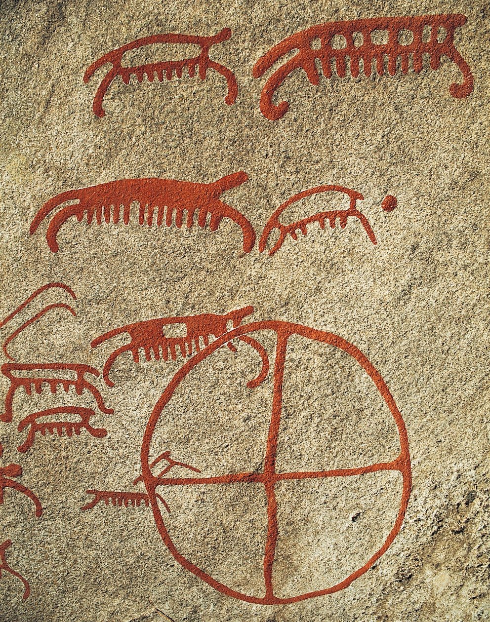 Vitlycke rock carvings, Tanum, Sweden. بواسطة جي بي وبراون جيه وروبوتام