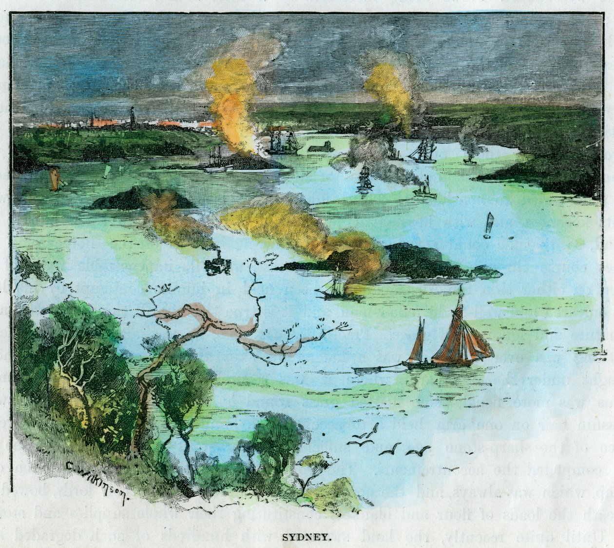 سيدني ، نيو ساوث ويلز ، أستراليا ، c1885. بواسطة سي ويلكنسون