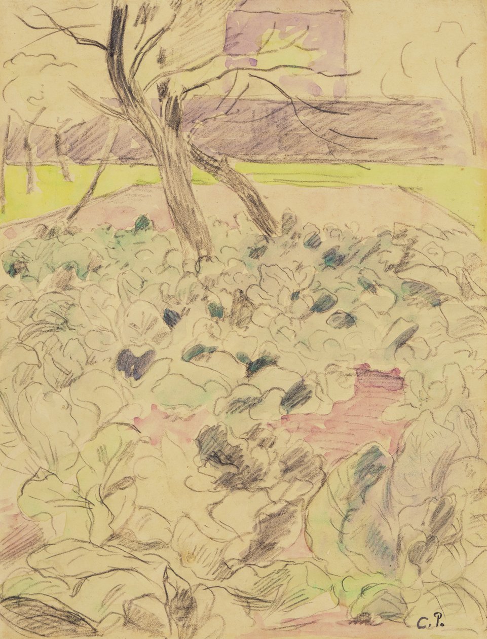 حقل الملفوف ، c.1880 (قلم رصاص ومرحاض على ورق) بواسطة كميل يعقوب بيسارو