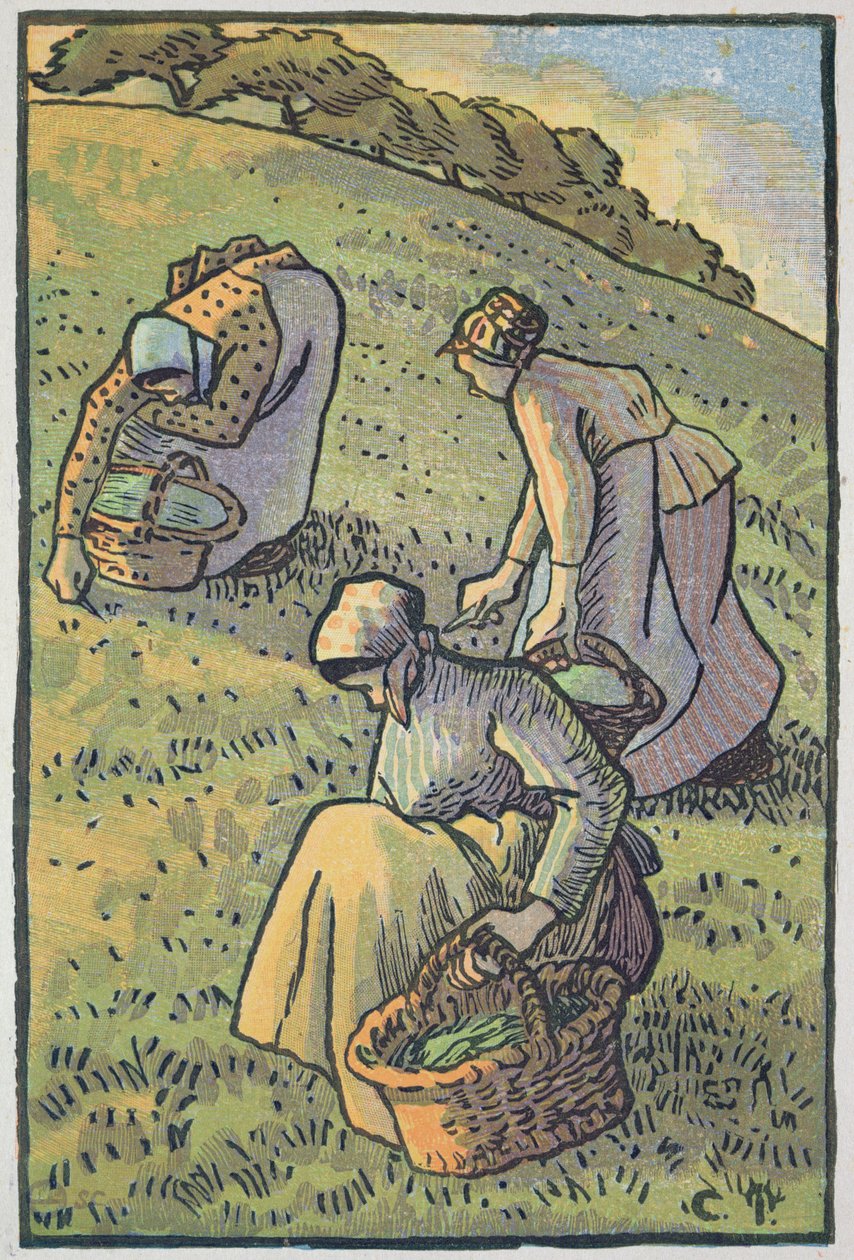النساء يجمعن الفطر ، من "Travaux des Champs" ، منقوش بواسطة Lucien Pissarro (1863-1944) المنشور في لندن 1893 بواسطة كميل يعقوب بيسارو