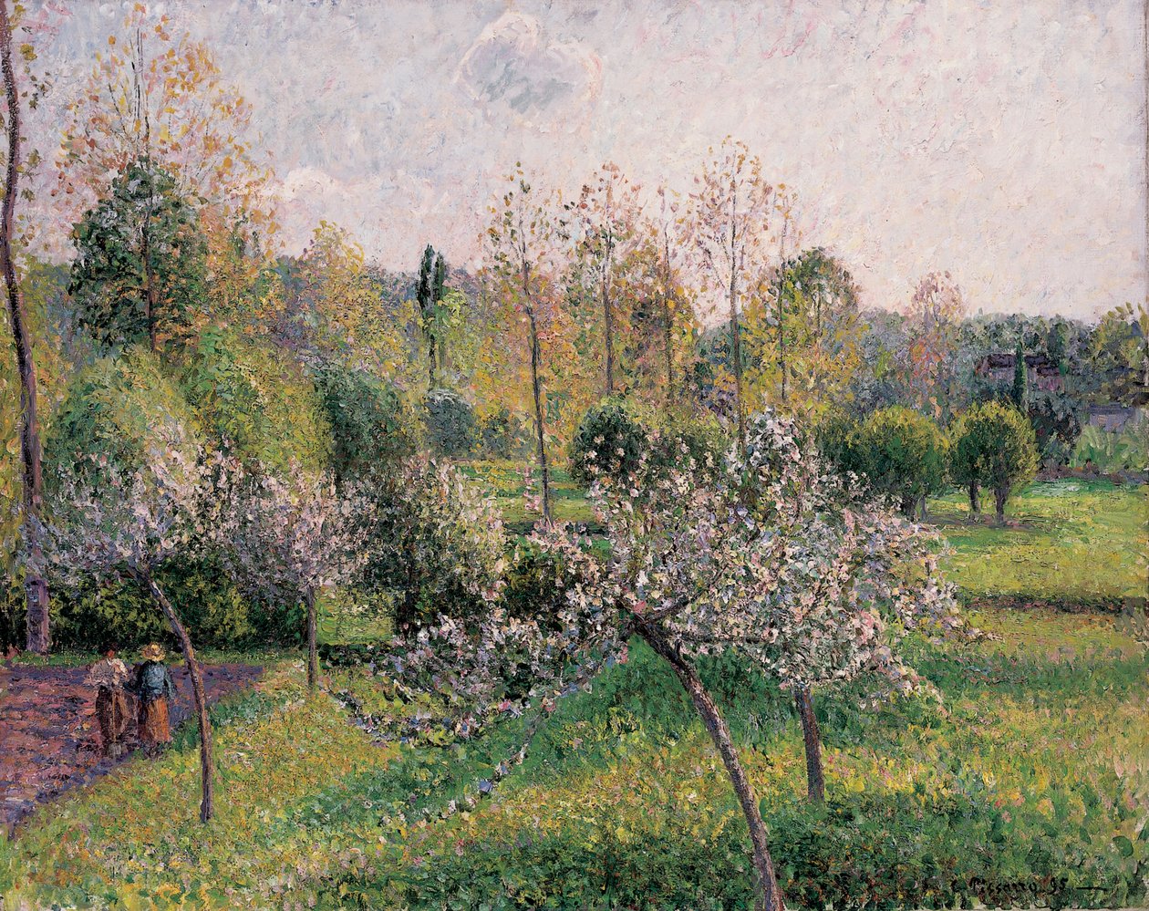 أشجار التفاح في Blossom ، Eragny ، 1895 بواسطة كميل يعقوب بيسارو