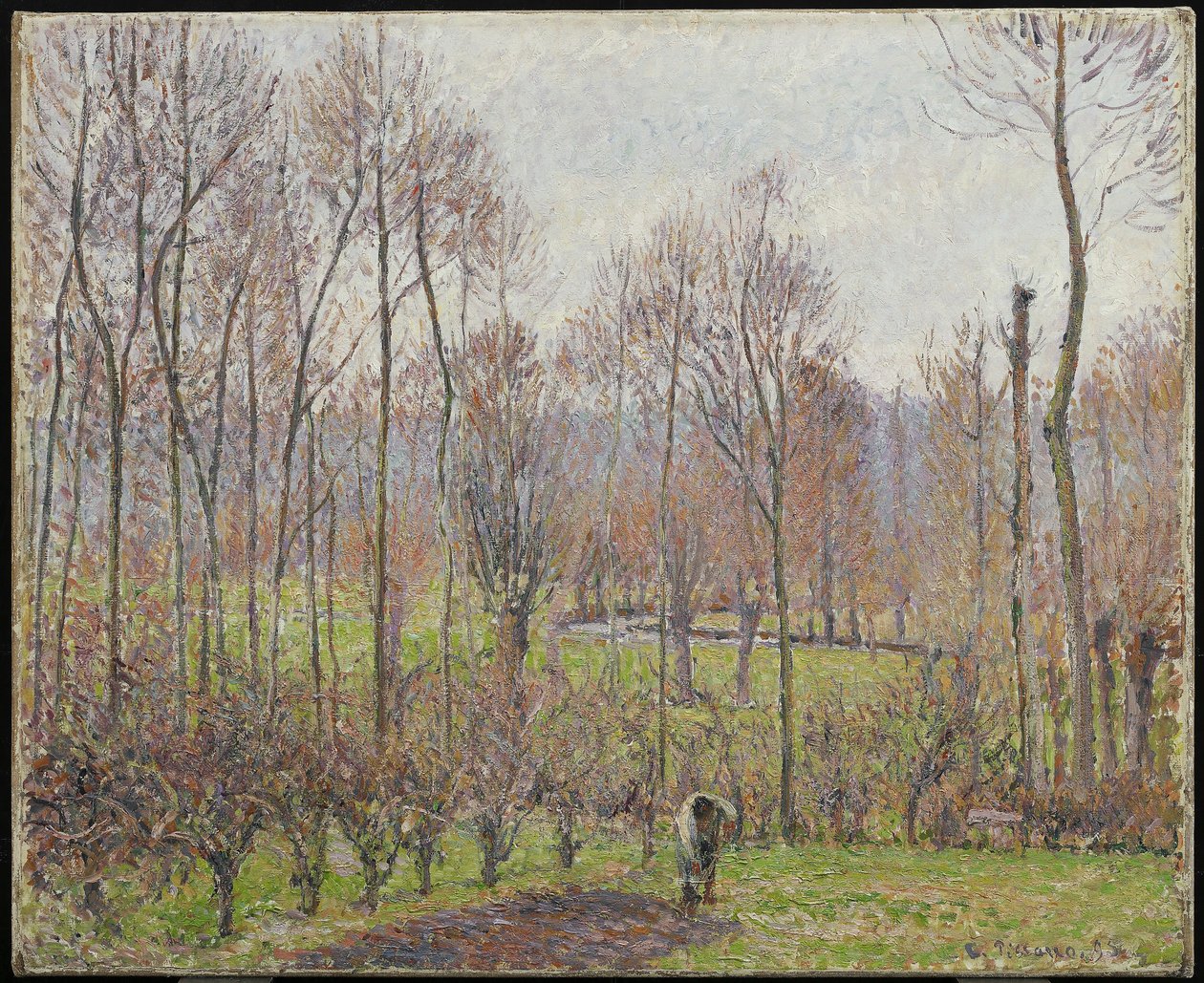 Poplars ، Gray Weather ، Eragny ، 1895 بواسطة كميل يعقوب بيسارو