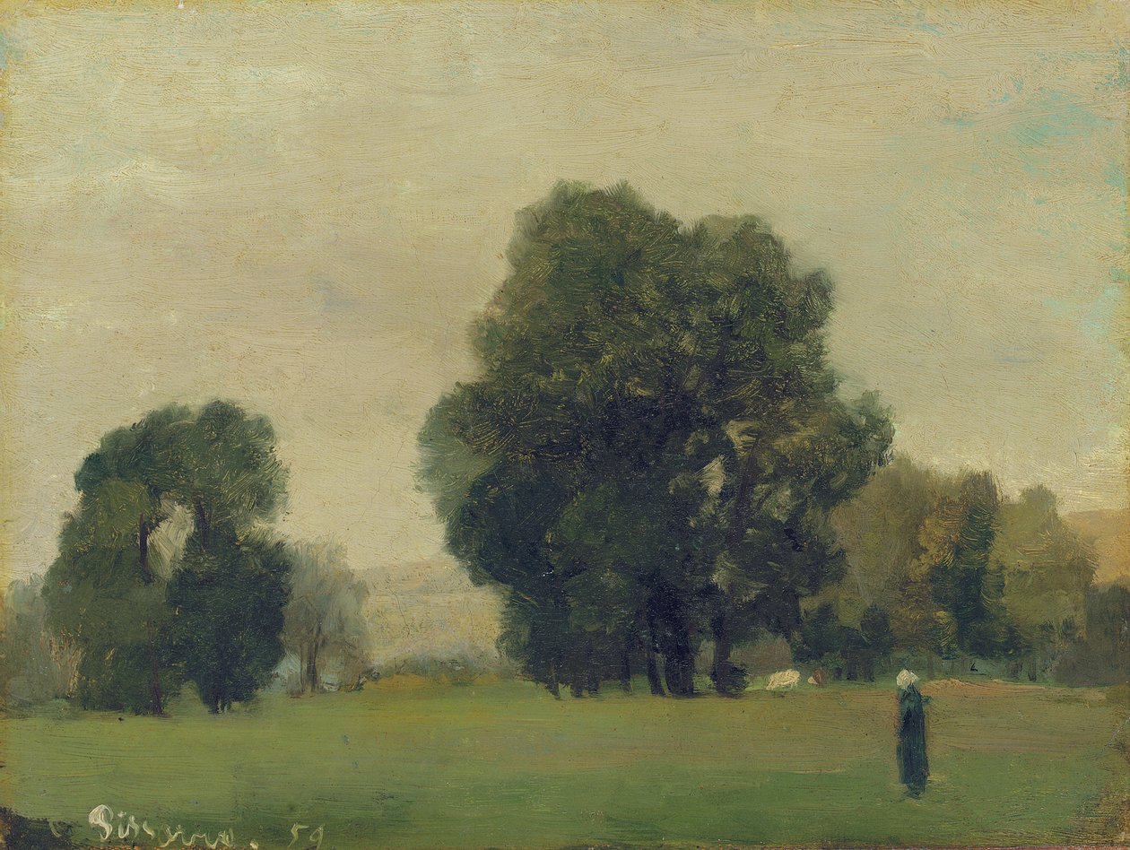 مروج لاروش جويون ، 1859 بواسطة كميل يعقوب بيسارو