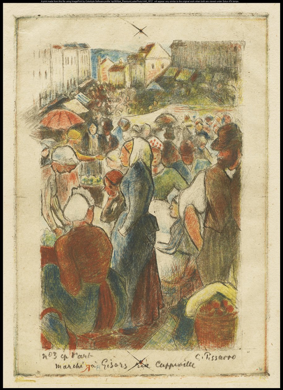 The Gisors Market، Rue Cappeville، c.1894 بواسطة كميل يعقوب بيسارو