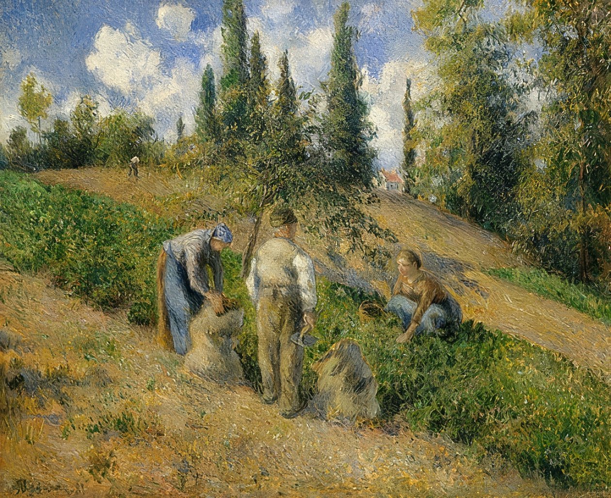 يموت ارنتي ، بونتواز. - لا ريكولت ، بونتواز .1881 بواسطة كميل يعقوب بيسارو