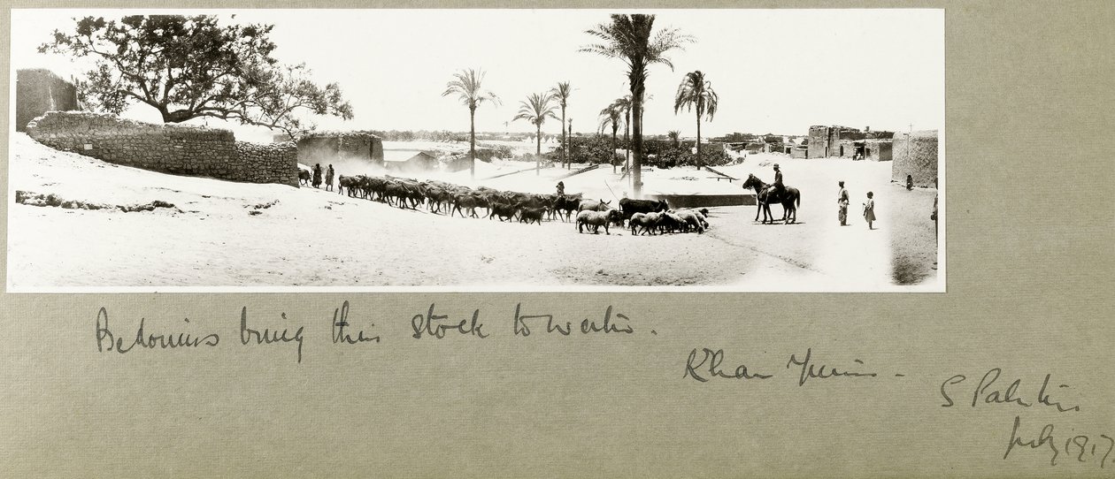البدو يجلبون مخزونهم من الماء ، خان يونس ، جنوب فلسطين ، يوليو 1917 بواسطة كابتن. آرثر رودس