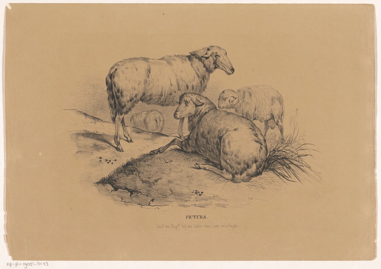 أربعة أغنام Pictura (عنوان السلسلة على الكائن) بواسطة كاريل كريستيان أنطوني آخر