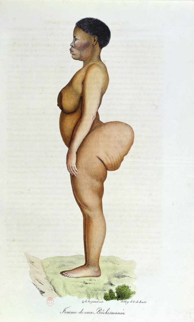 The Hottentot Venus ، امرأة بوشمان ، من "L&39;Histoire Naturelle des Mammiferes" بقلم إتيان جوفروي سانت هيلير (1772-1844) وفريدريك كوفييه (1773-1838) ، 1824 بواسطة كاريل كريستيان أنتوني Last