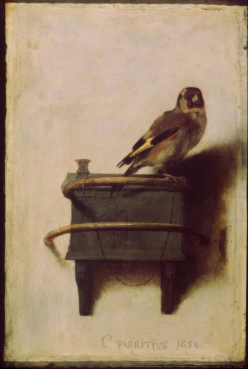 طائر الحسون (طائر الحسون ، طائر الحسون) بواسطة كاريل فابريتيوس