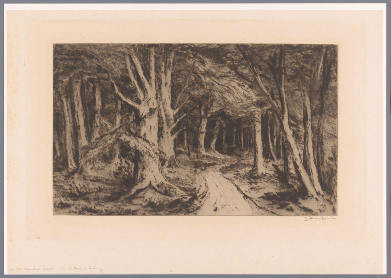 حافة الغابة مع مسار الغابة Entrée de forêt (العنوان الأصلي) بواسطة كاريل نيكولاس ستورم فان غريفساندي (توقيع الفنان)