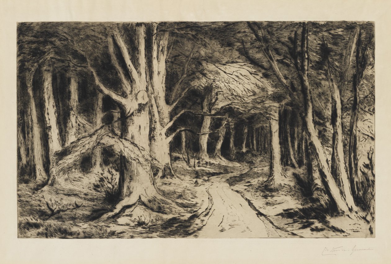 مسار الغابات ، ج 1885 بواسطة Carel Nicolaas Storm van s Gravesande
