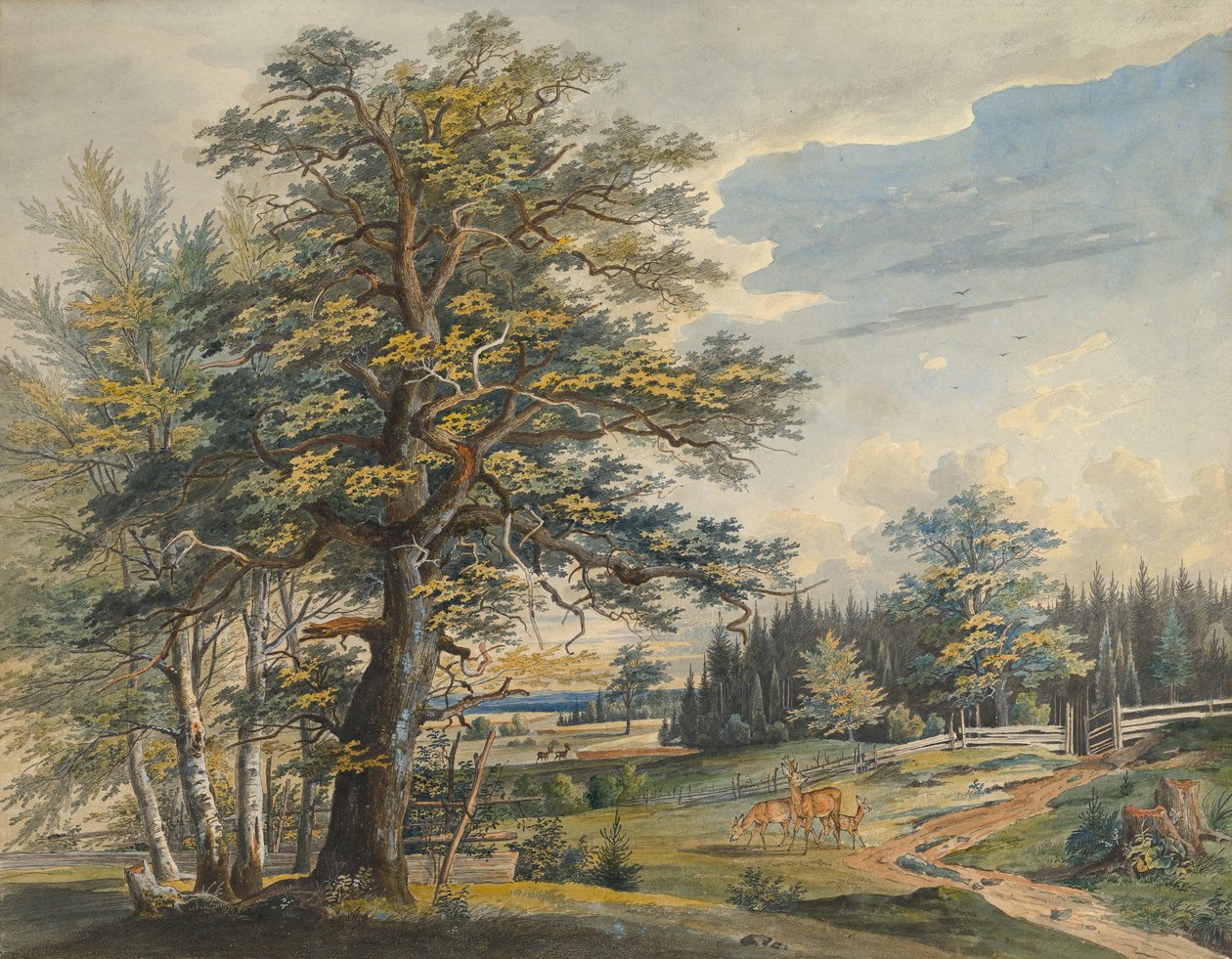 المناظر الطبيعية المشجرة مع الأيل ، 1800-1877. بواسطة كارل أوغست ليبشي