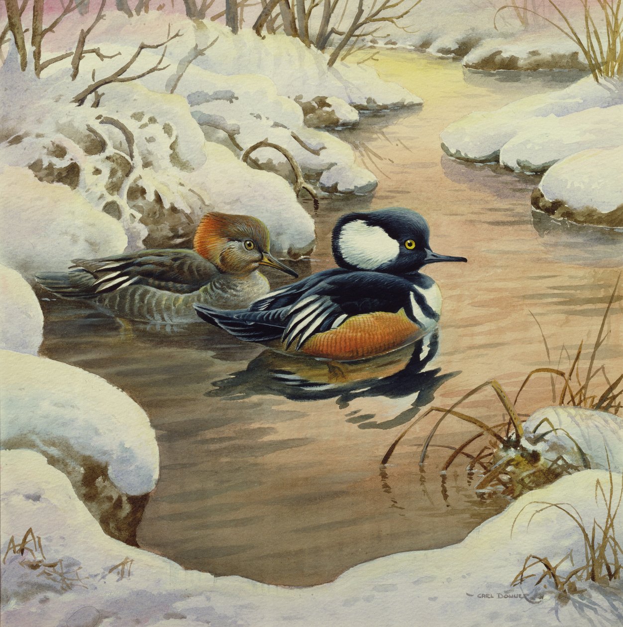 Mergansers مقنعين على بركة بواسطة كارل دونر
