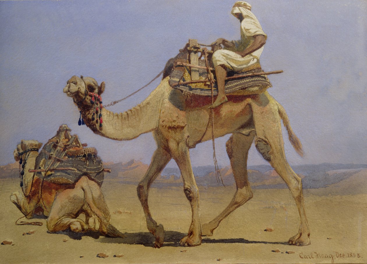 الجمل يستعد للاستلقاء ، 1858 بواسطة كارل هاج