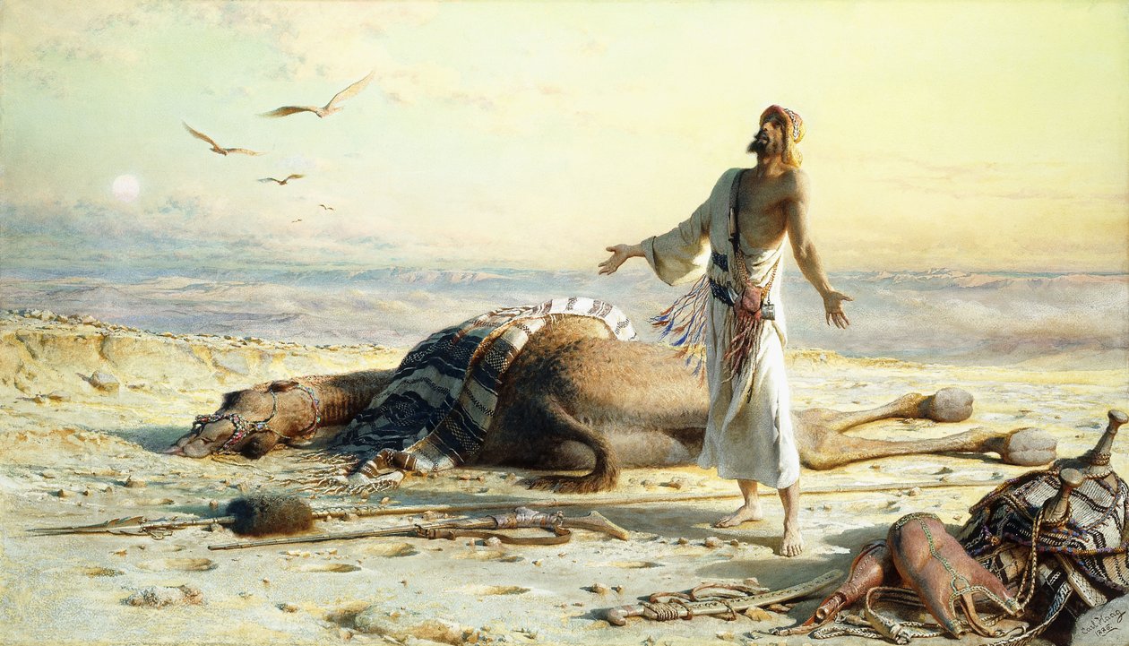 حطام السفينة في الصحراء ، 1886 بواسطة كارل هاج