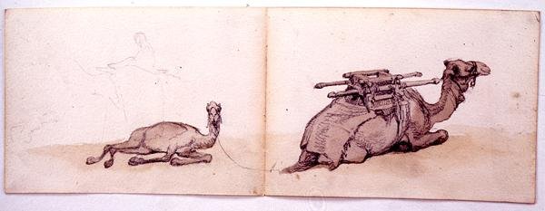 رسمان للجمال بواسطة كارل هاج