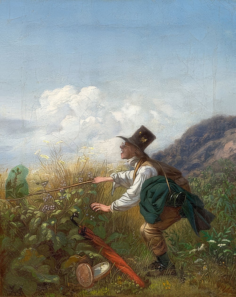 الماسك الفراشة (عالم النبات). حوالي عام 1837 بواسطة كارل سبيتزويج
