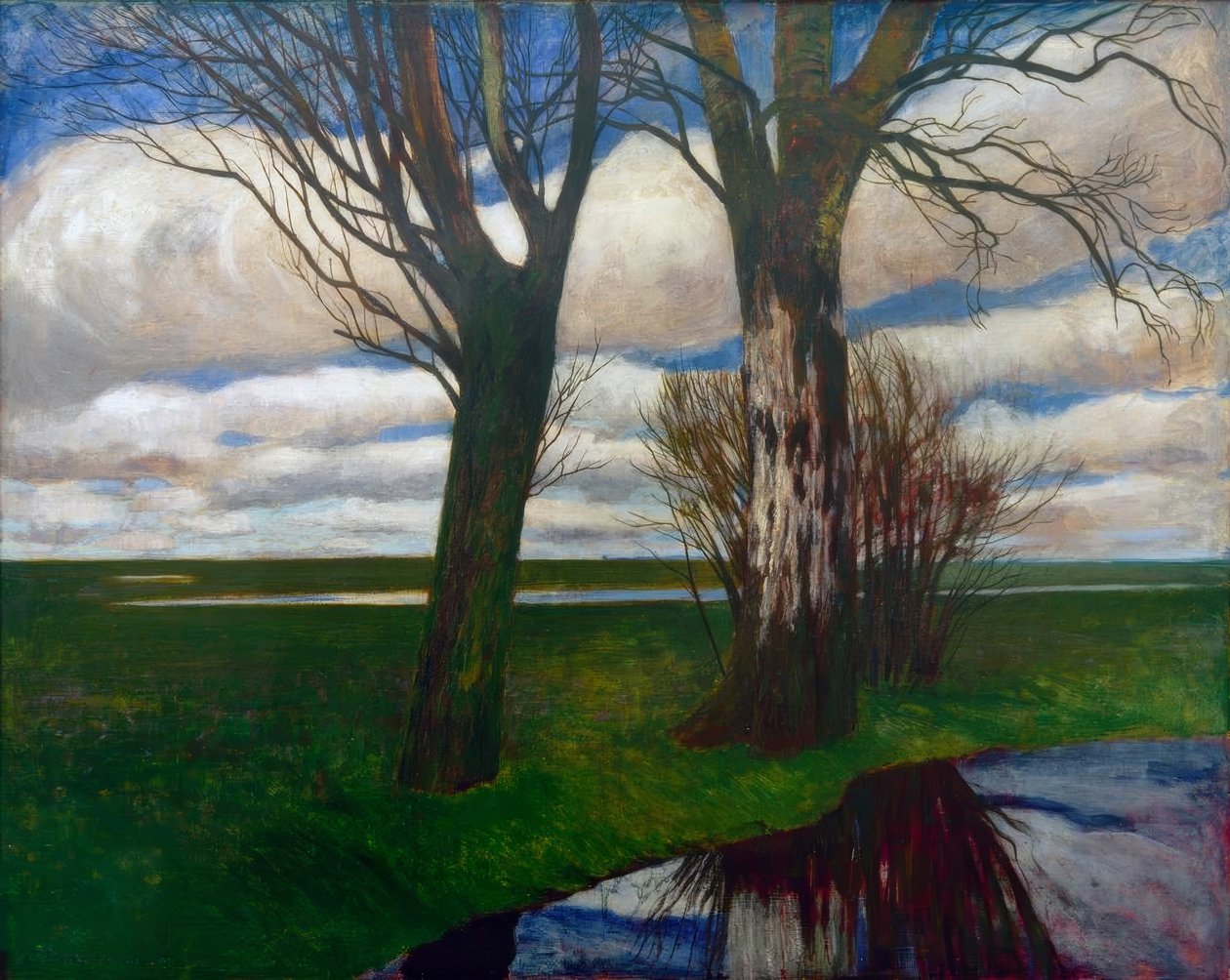 Moorlandschaft بواسطة كارل فينين