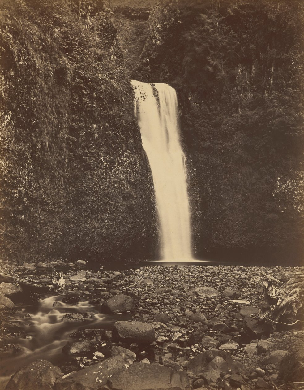شلالات مولتنوماه السفلى، نهر كولومبيا، 1867 (صورة) بواسطة كارلتون إيمونز واتكينز