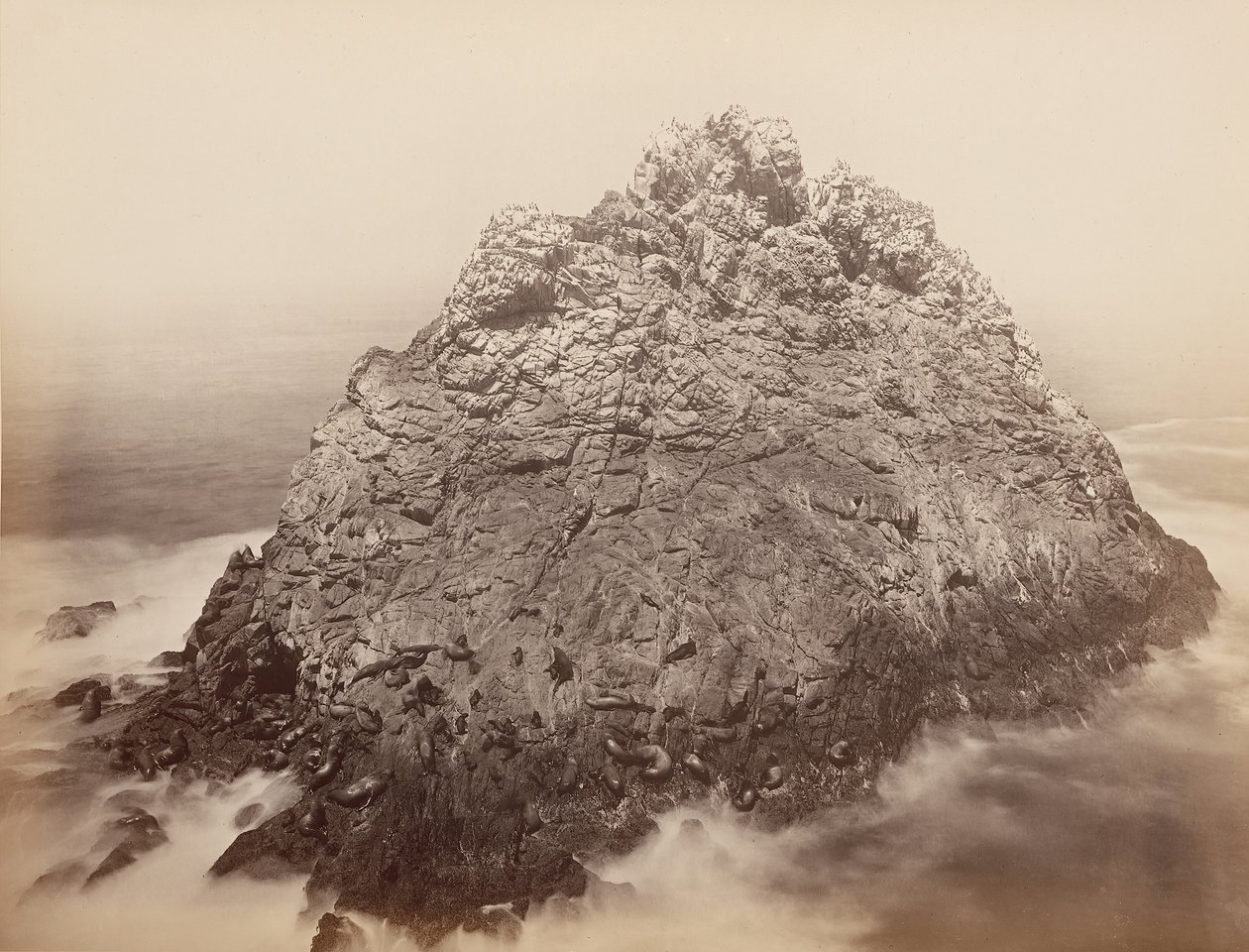 جزر شوجر لوف ، فارالون ، 1868-69. بواسطة كارلتون إيمونز واتكينز