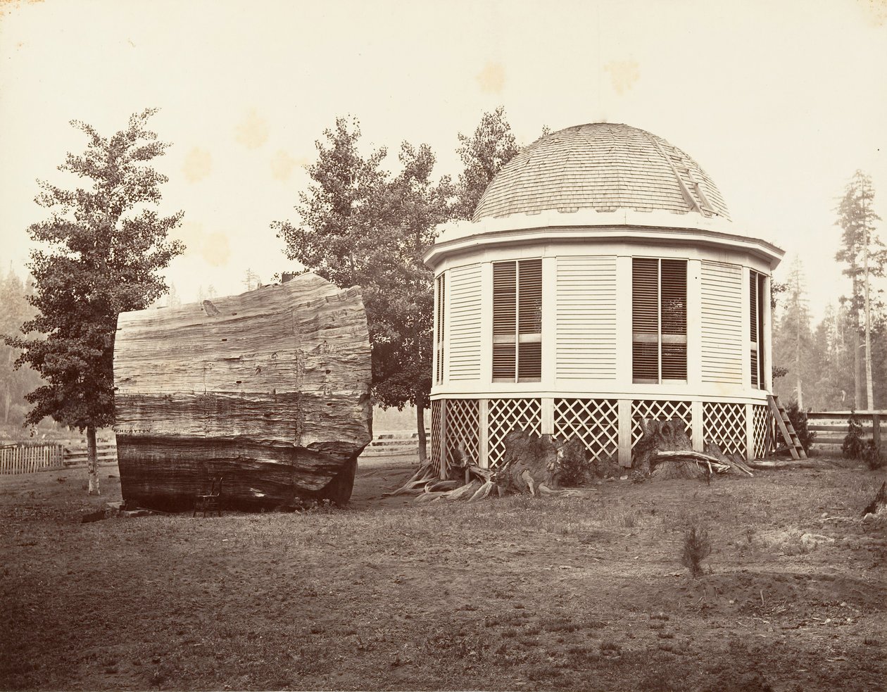 المنزل فوق جذع شجرة كبيرة ، 1865-66 ، طبع كاليفورنيا. 1876. بواسطة كارلتون إيمونز واتكينز