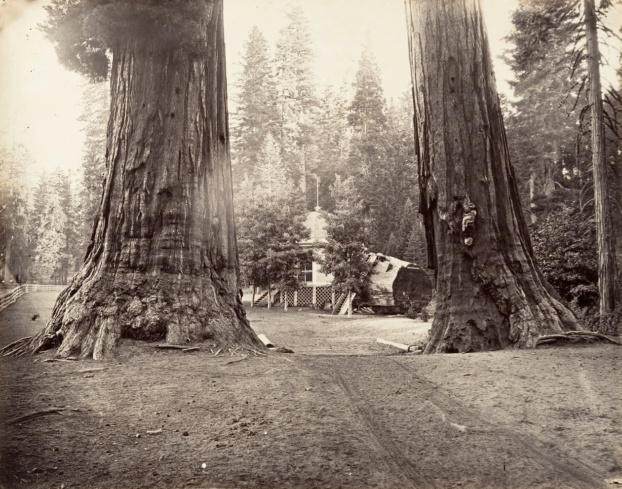 الحراس ، 315 قدمًا ، يوسمايت ، كاليفورنيا. 1872 ، طبع كاليفورنيا. 1876. بواسطة كارلتون إيمونز واتكينز