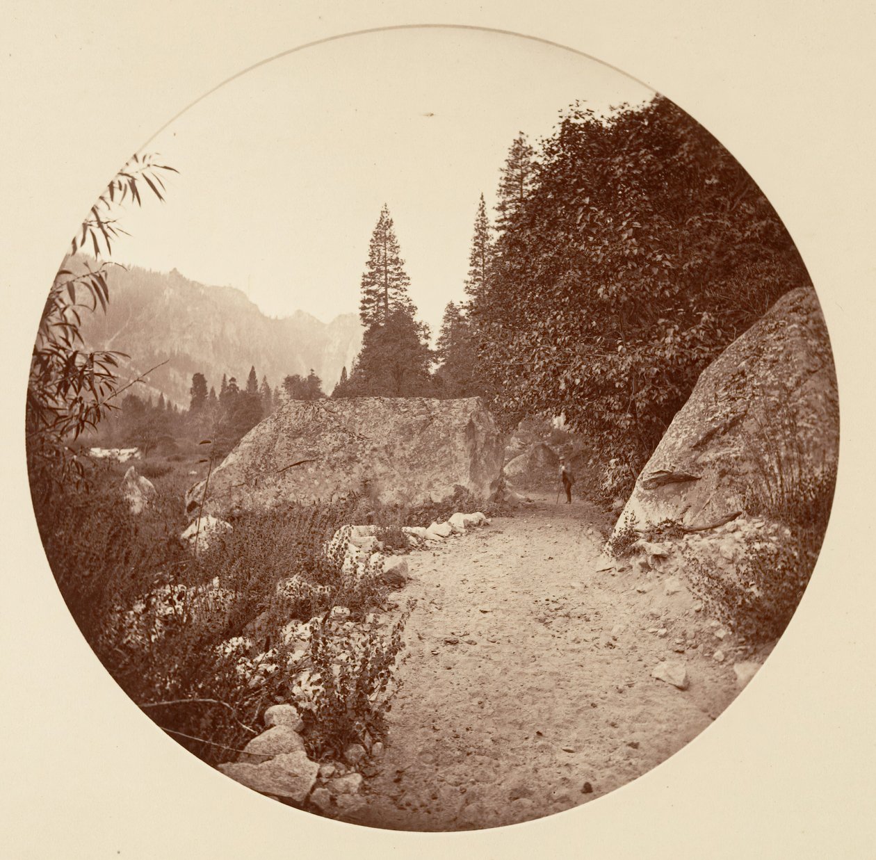 [منتزه يوسمايت الوطني ، كاليفورنيا] ، كاليفورنيا. 1878. بواسطة كارلتون إيمونز واتكينز