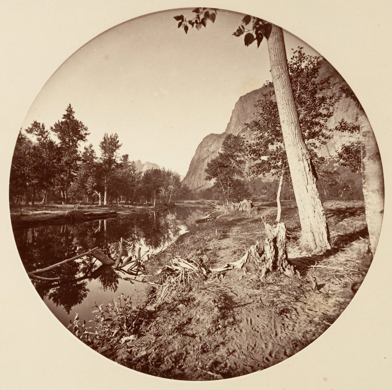 [منتزه يوسمايت الوطني ، كاليفورنيا] ، كاليفورنيا. 1878. بواسطة كارلتون إيمونز واتكينز