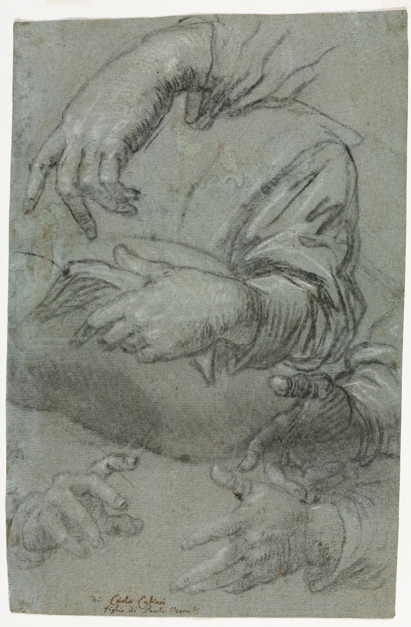 دراسات اليد اليمنى ، رسم تخطيطي لرأس الطفل ، ج. 1586. بواسطة كارليتو كالياري