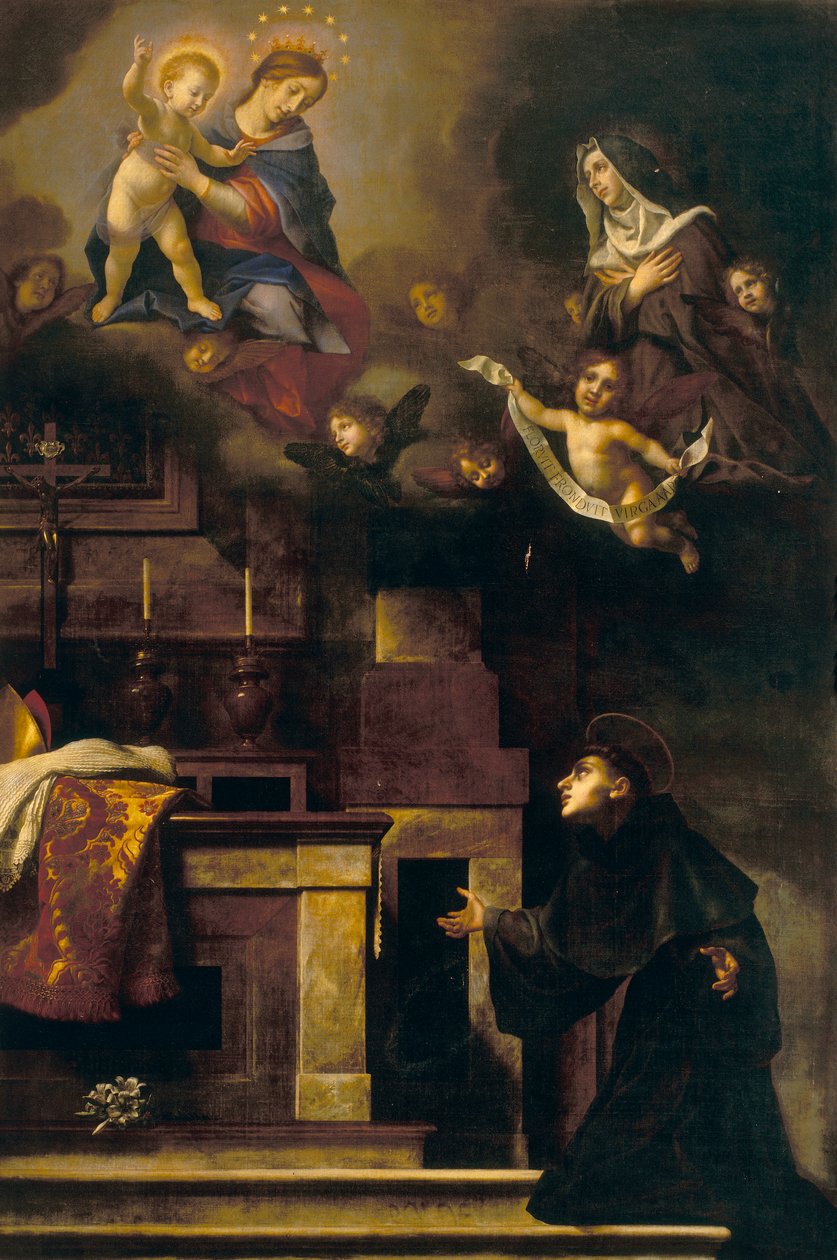 St. Louis of Toulouse and the Virgin بواسطة كارلو دولتشي