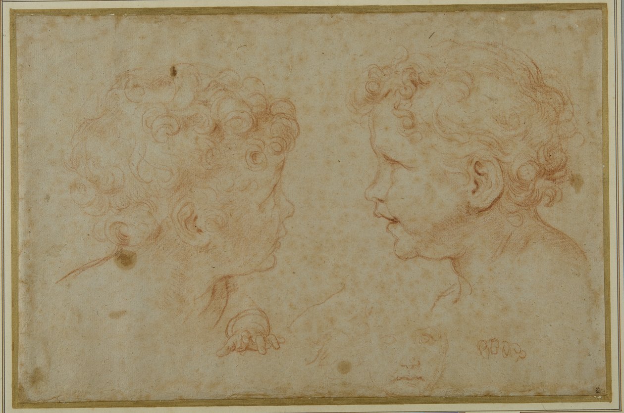 Studies of the head and left hand of a putto (red chalk on paper) بواسطة كارلو ماراتي