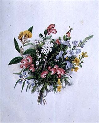 Posy of Summer Flowers ، القرن التاسع عشر بواسطة كارولين لويزا ميريديث